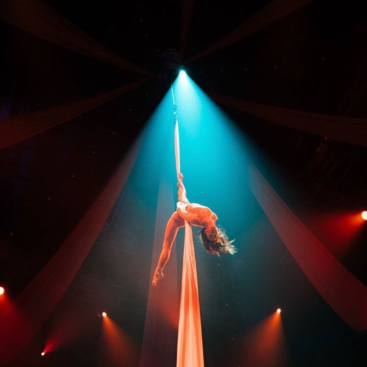 Cocktail & Gala Experiences